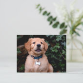 Golden Retriever Puppy Postkarte (Stehend Vorderseite)