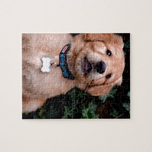 Golden Retriever Puppy Puzzle (Horizontal)
