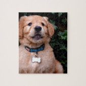 Golden Retriever Puppy Puzzle (Vertikal)