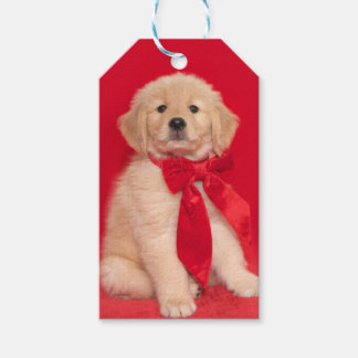 Golden Retriever Puppy Red Ribbon Geschenkanhänger