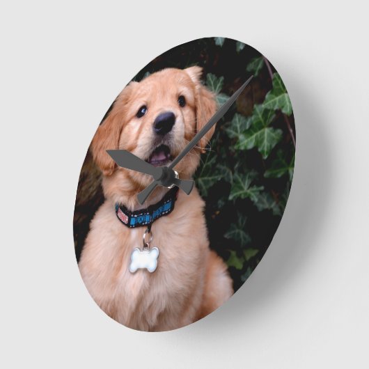 Golden Retriever Puppy Runde Wanduhr (Winkel)