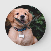 Golden Retriever Puppy Runde Wanduhr (Vorderseite)