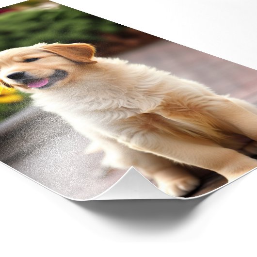Golden Retriever Puppy Satin Foto Erweiterung (Ecke)