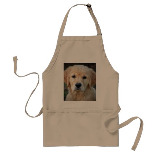 Golden Retriever Puppy Schürze (Vorne)