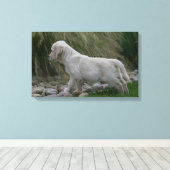 Golden Retriever Puppy Stehend Leinwanddruck (Insitu (Holzboden))