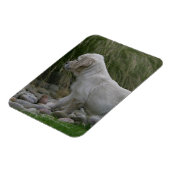 Golden Retriever Puppy Stehend Magnet (Linke Seite)
