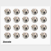 Golden Retriever Puppy Sticker (Blatt)