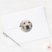 Golden Retriever Puppy Sticker (Umschlag)