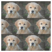 Golden Retriever Puppy Stoff (Muster)