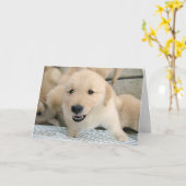 Golden Retriever Puppy Therapy wird gut Karte (Gelbe Blume)
