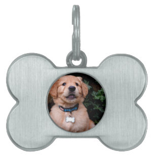 Golden Retriever Puppy Tiermarke