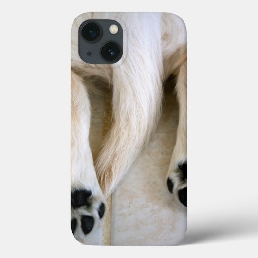 Golden Retriever Puppy Toes Case-Mate iPhone Hülle (Rückseite)