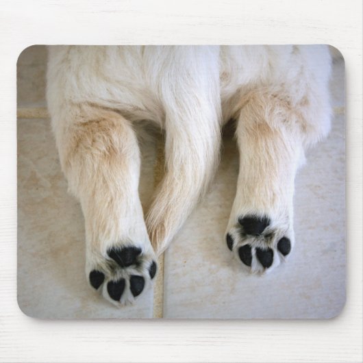 Golden Retriever Puppy Toes Mousepad (Vorne)
