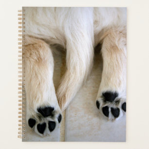 Golden Retriever Puppy Toes Planer
