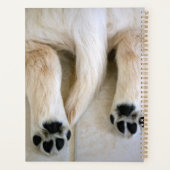 Golden Retriever Puppy Toes Planer (Rückseite)