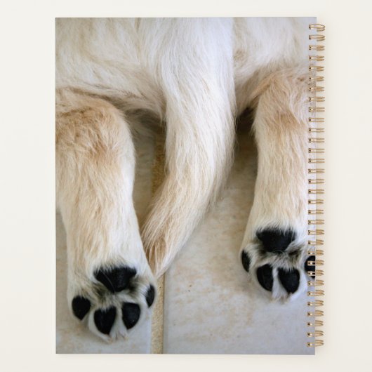Golden Retriever Puppy Toes Planer (Rückseite)