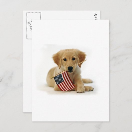 Golden Retriever Puppy und Flag Postkarte (Vorne/Hinten)