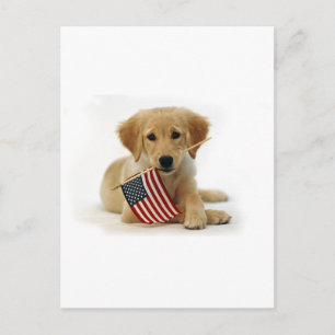 Golden Retriever Puppy und Flag Postkarte