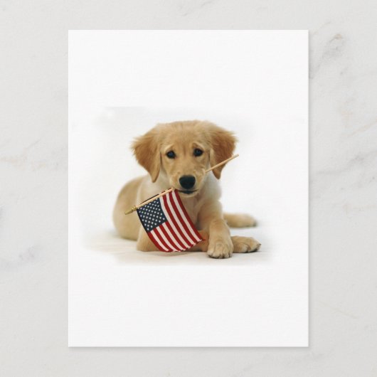 Golden Retriever Puppy und Flag Postkarte (Vorderseite)