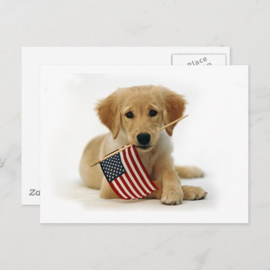 Golden Retriever Puppy und Flag Postkarte (Vorne/Hinten)