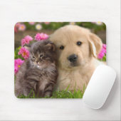 Golden Retriever Puppy und Kitten Mouse Pad Mousepad (Mit Mouse)