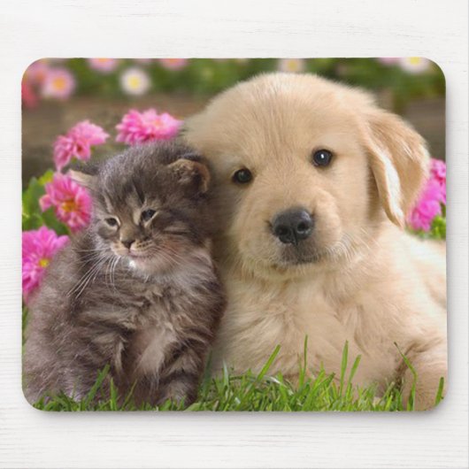 Golden Retriever Puppy und Kitten Mouse Pad Mousepad (Vorne)