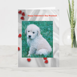 Golden Retriever Puppy Valentine's Day Card Feiertagskarte