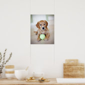 Golden Retriever Puppy Will zu spielen Poster (Küche)