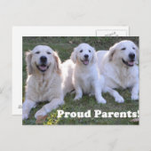 Golden Retriever Puppy with Proud Parents Postkarte (Vorne/Hinten)