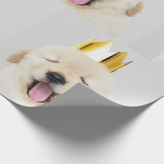 Golden Retriever Puppy Yawning mit Krone Geschenkpapier (Ecke)