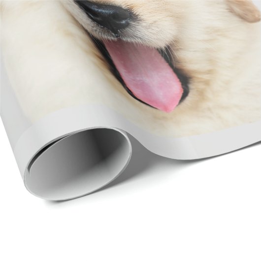Golden Retriever Puppy Yawning mit Krone Geschenkpapier (Rolleneckpunkt)