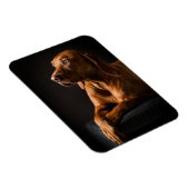 Golden Retriever Purebred Portrait Magnet (Rechte Seite)