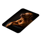 Golden Retriever Purebred Portrait Magnet (Linke Seite)