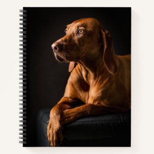 Golden Retriever Purebred Portrait Notizblock