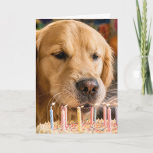Golden Retriever pustet Geburtstagskerzen aus Karte