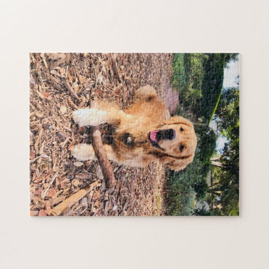 Golden Retriever Puzzle (Horizontal)