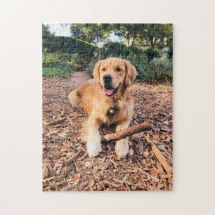 Golden Retriever Puzzle