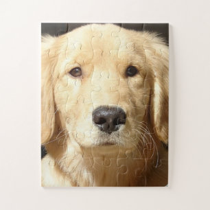 Golden Retriever Puzzle