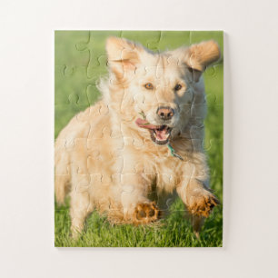 Golden Retriever Puzzle