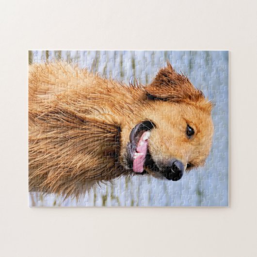 Golden retriever puzzle (Horizontal)