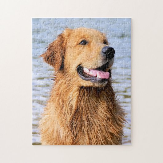 Golden retriever puzzle (Vertikal)