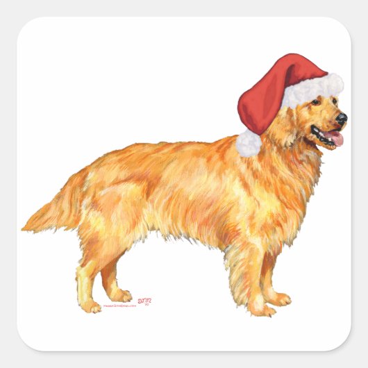 Golden Retriever Quadratischer Aufkleber (Vorderseite)