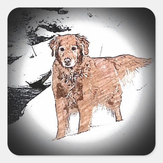 Golden Retriever Quadratischer Aufkleber (Vorderseite)