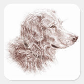 Golden Retriever Quadratischer Aufkleber (Vorderseite)