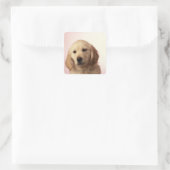 Golden Retriever Quadratischer Aufkleber (Tasche)