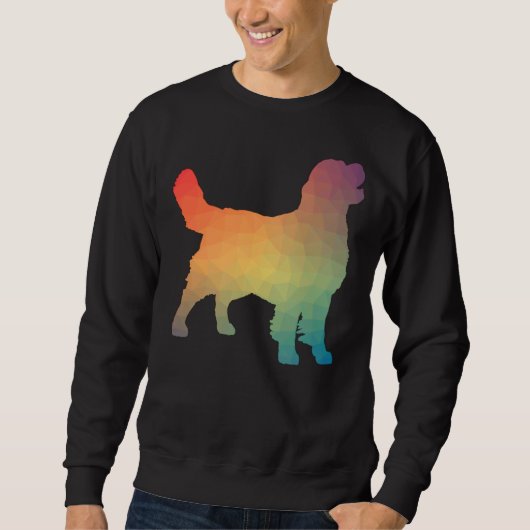 Golden Retriever Rainbow Geometric Sweatshirt (Vorderseite)