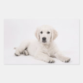 Golden Retriever Rechteckiger Aufkleber (Vorderseite)