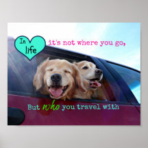Golden Retriever Reisefreundschaft