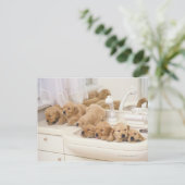 Golden Retriever, relativ modern und 2 Postkarte (Stehend Vorderseite)