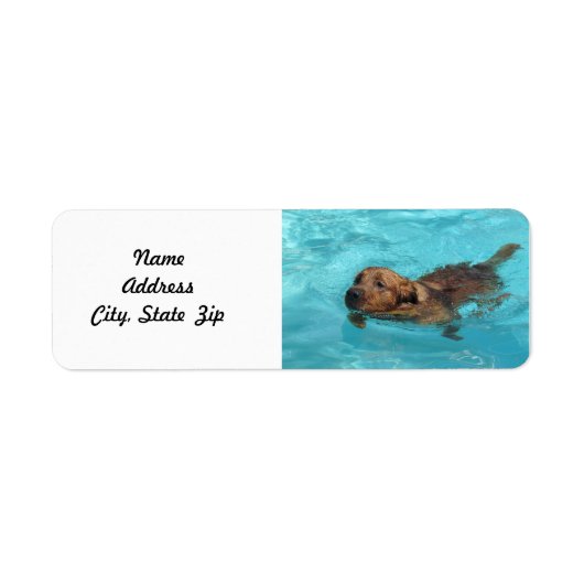 Golden Retriever Return Address Label, Swim (Vorne)
